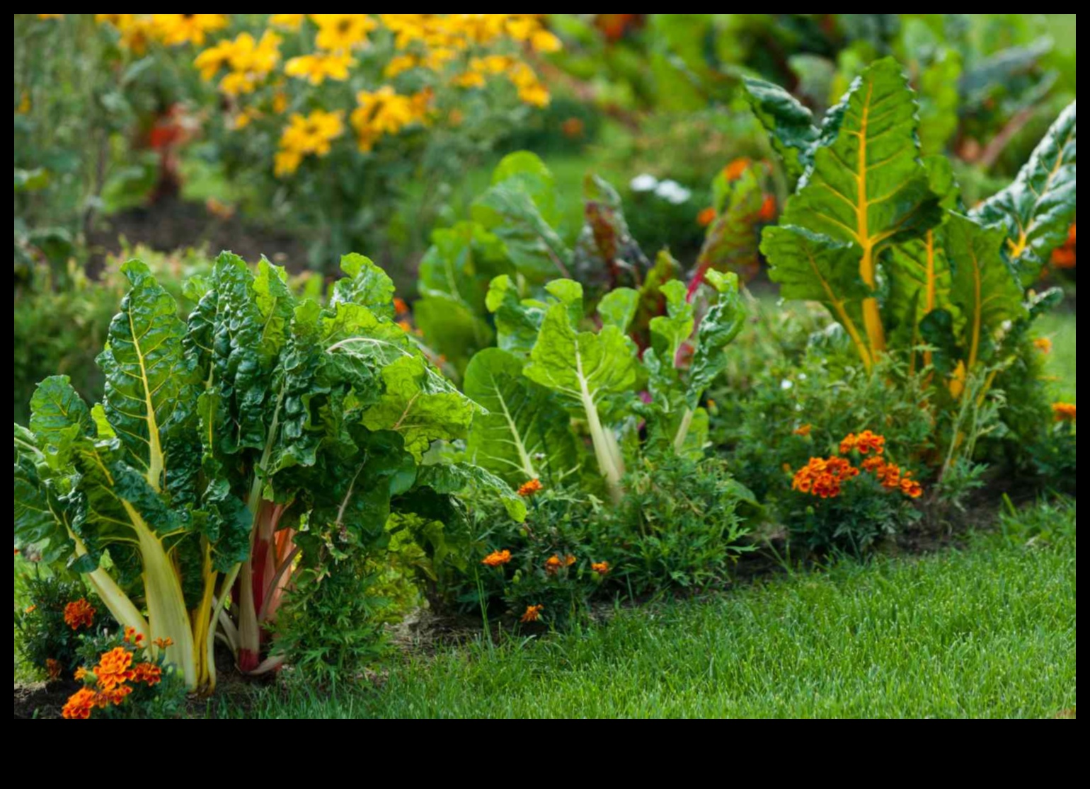 מלווי פרחים: טיפוח גנים משגשגים עם זיווג