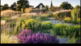 נבטים בני קיימא: שיטות ידידותיות לסביבה לתחזוקת גינה