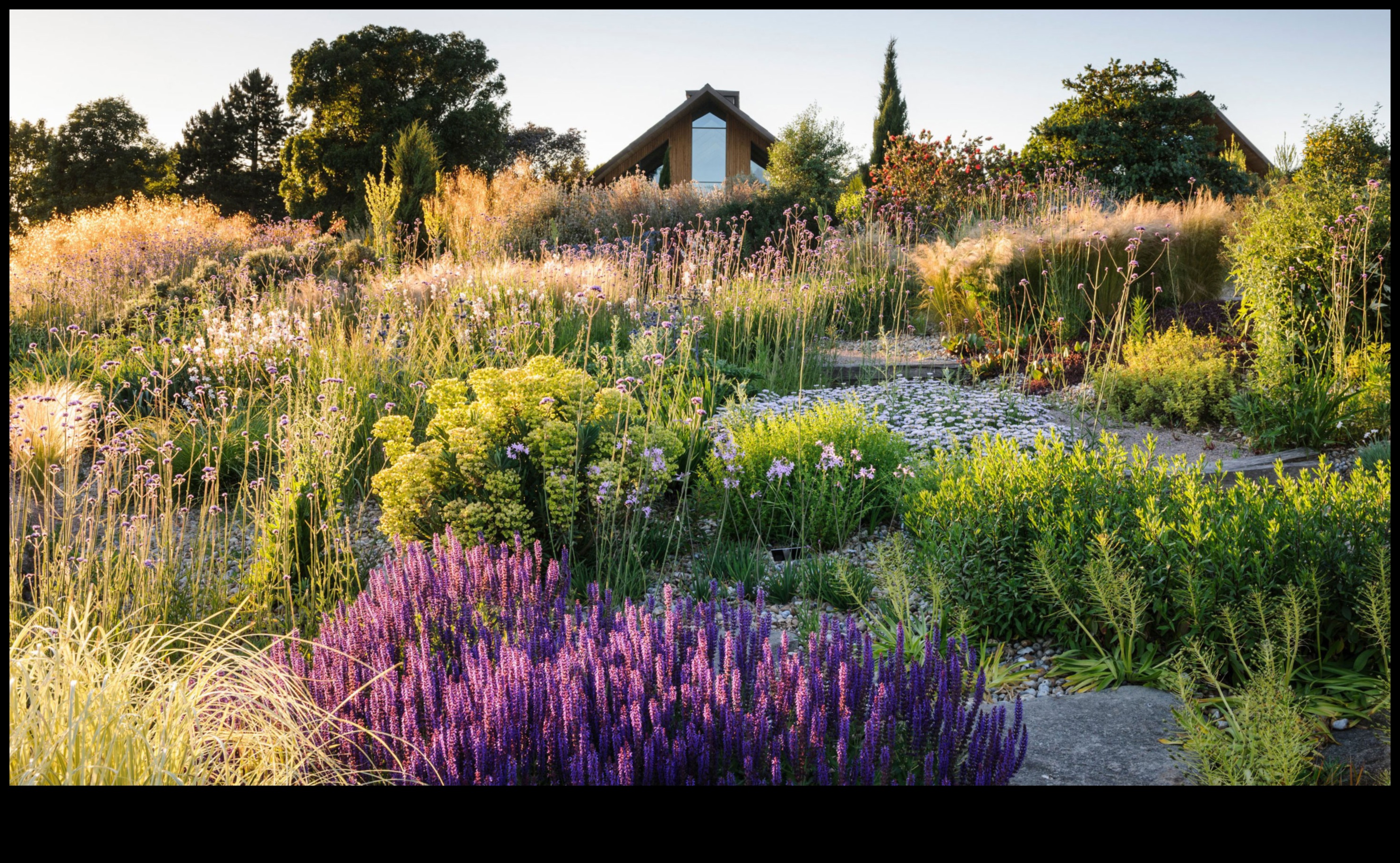 נבטים בני קיימא: שיטות ידידותיות לסביבה לתחזוקת גינה