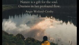 נופי נשמה: נופים שמדברים ישירות לרגשות