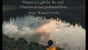 נופי נשמה: נופים שמדברים ישירות לרגשות