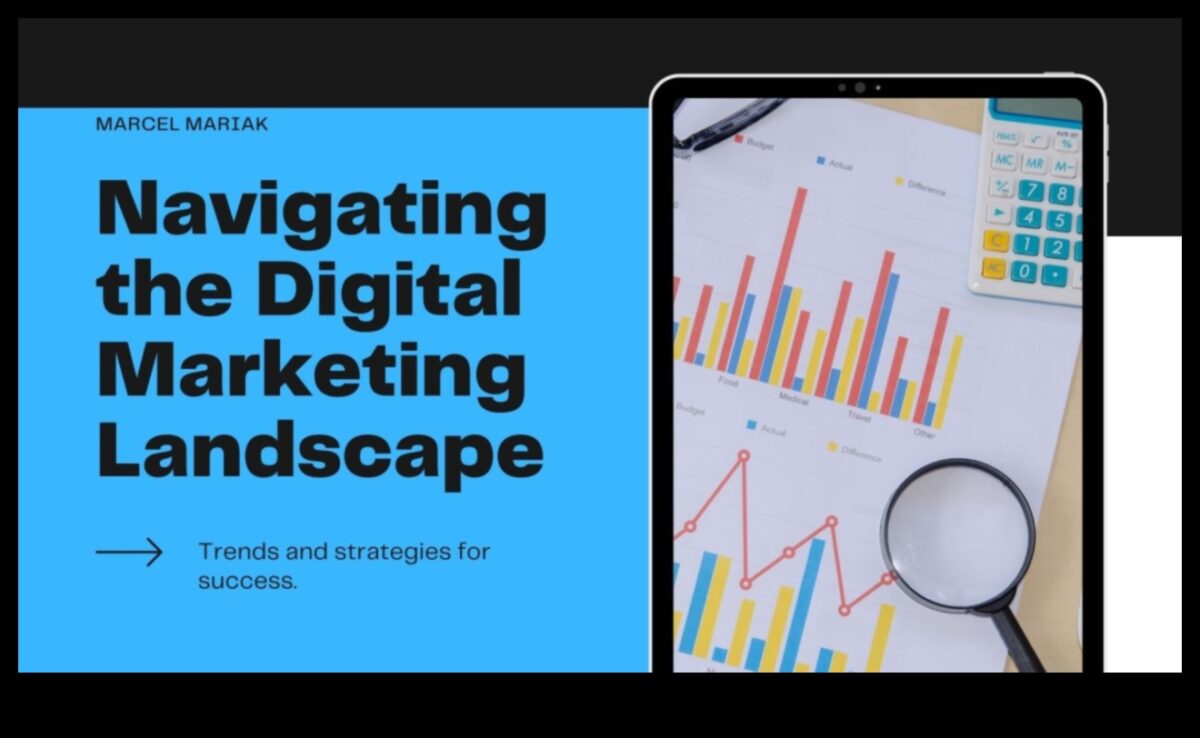 עדינות אנליטיקה: ניווט בהצלחה בעולם הקידום הדיגיטלי