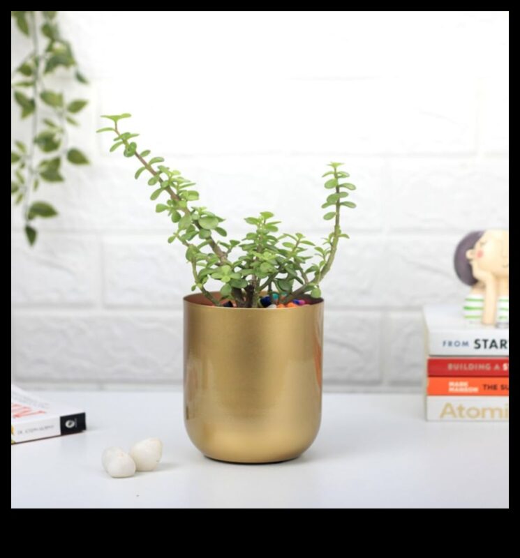 עציץ זהב: טיפים לגינון מיכל להצלחה פורחת