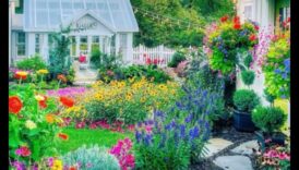 פריחה בסטייל: גלה את נפלאות עיצוב הגן המגמתיות