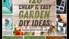 פריחה תקציבית: פרויקטי גן עשה זאת בעצמך