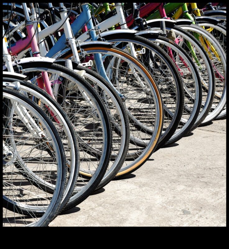 רוכבי אופניים עירוניים: אופניים ככלים חיוניים לתושבי העיר